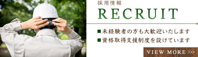 採用情報